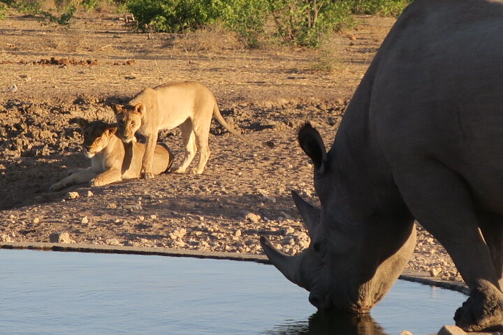 Lisa's trip to Namibia – 2017